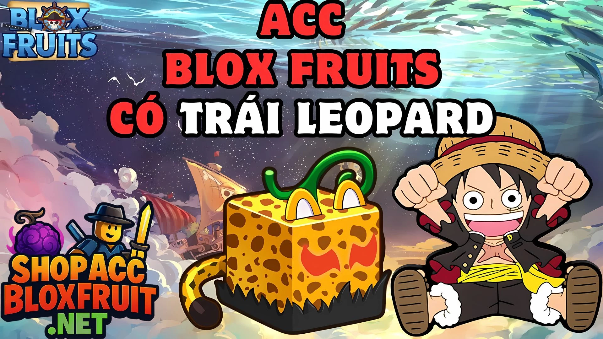 Acc Leopard (Trái báo) 50k