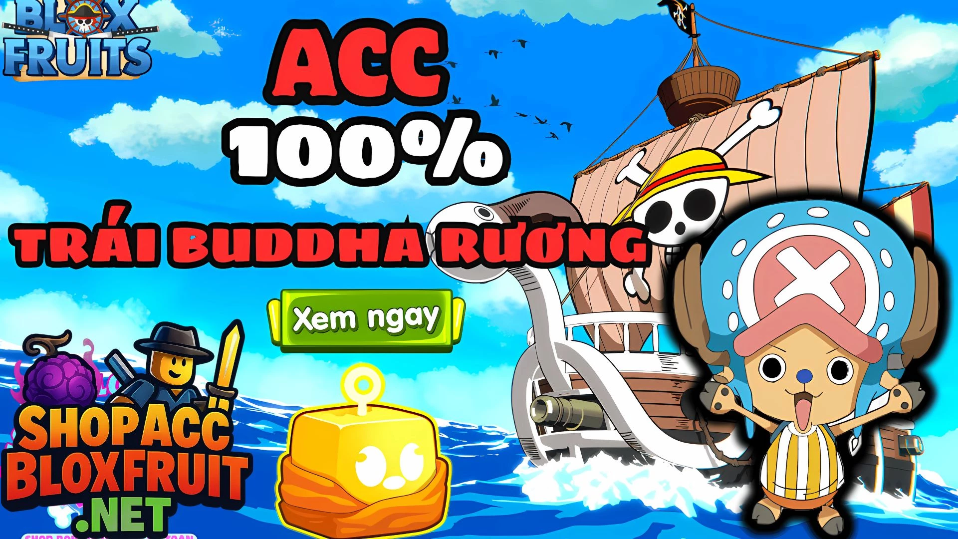Acc Buddha (Trái Phật) 25k