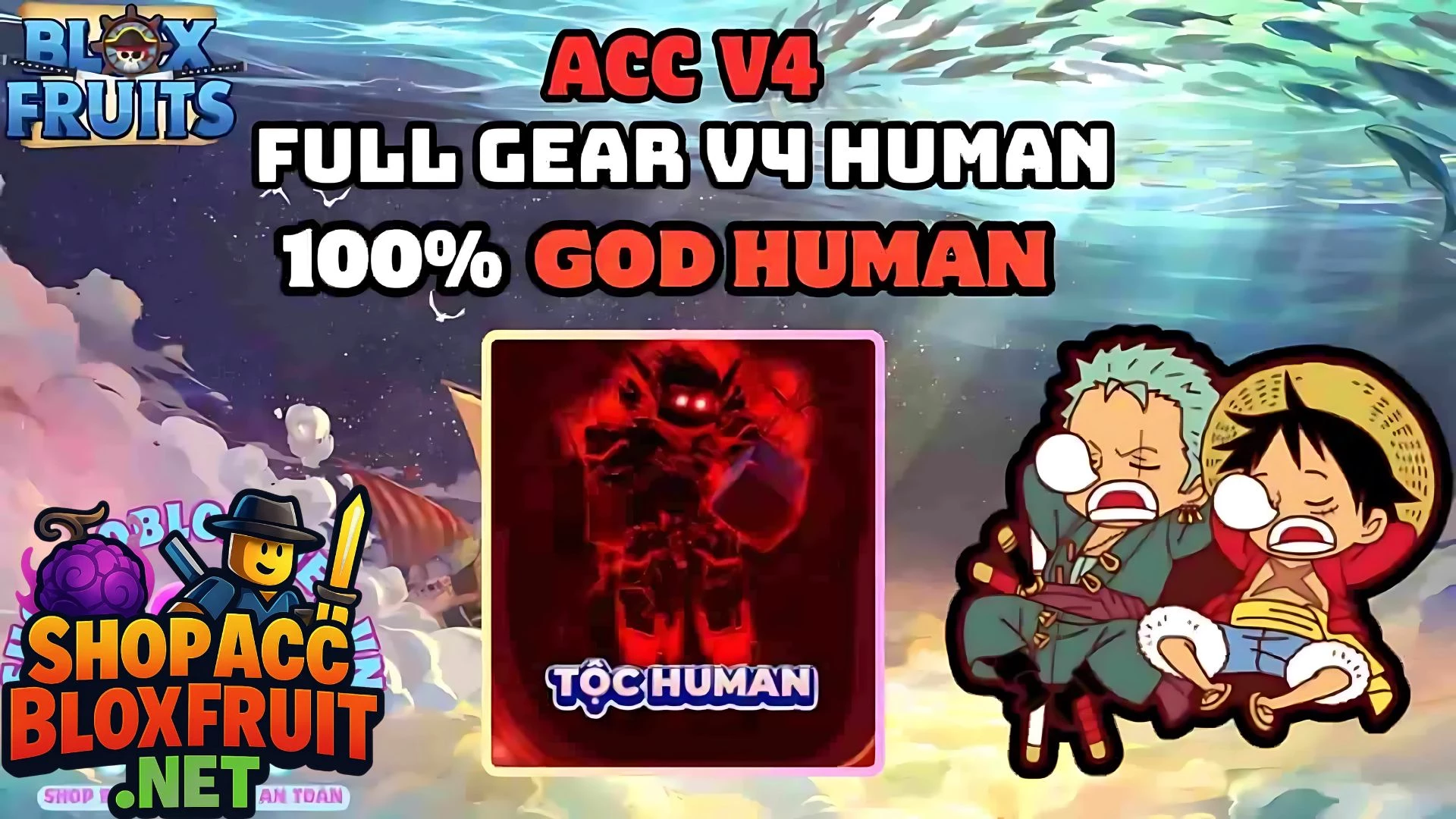 ACC V4 Full Gear CDK Tộc Human 120k