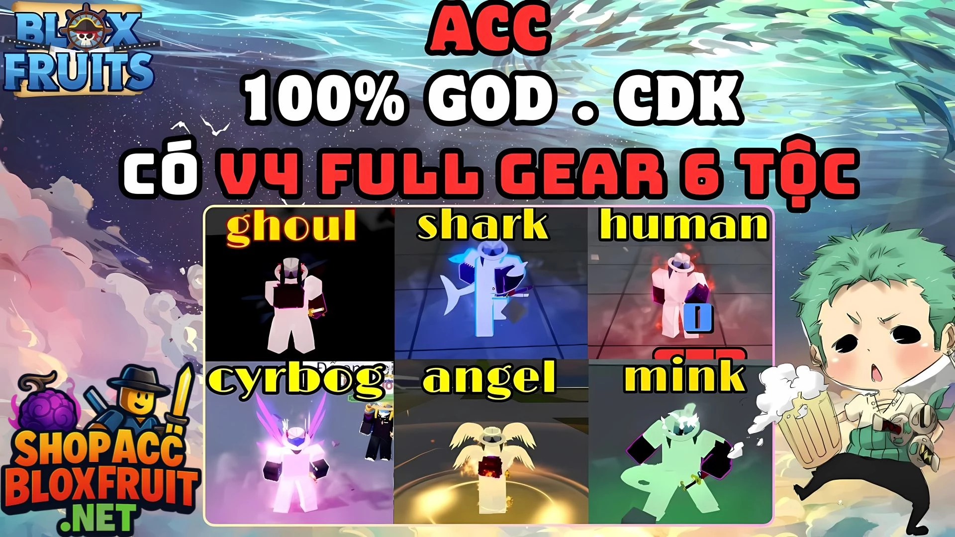 ACC V4 Full Gear 6 Tộc Có Cdk 350k